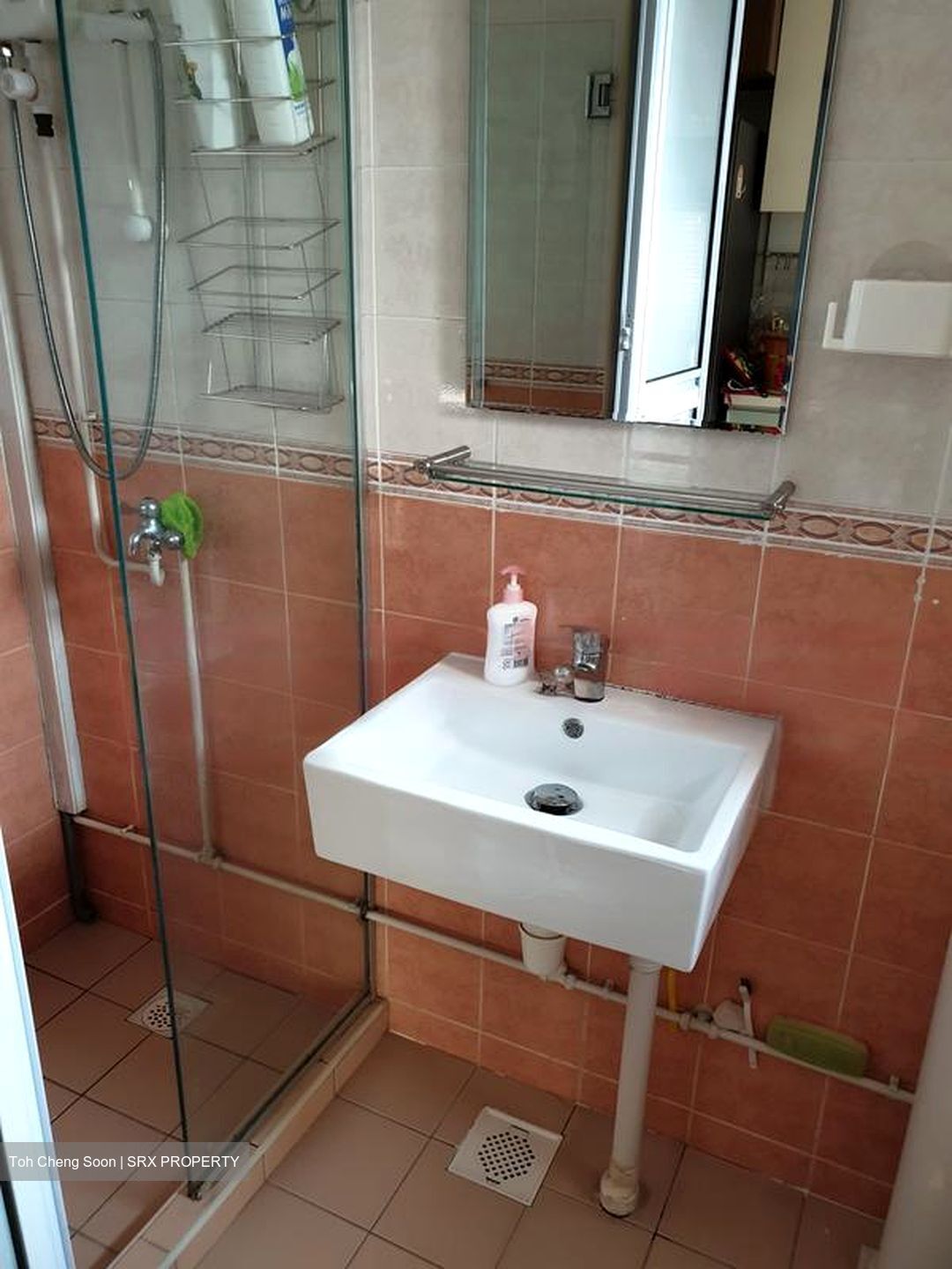 Blk 688B Choa Chu Kang Drive (Choa Chu Kang), HDB 5 Rooms #461496291